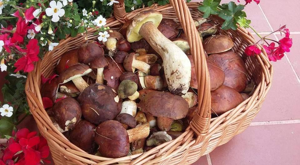Agroturystyka Rebowo Klodawa  외부 사진